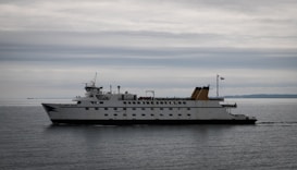 A large passenger ferry glides smoothly across a calm sea under an overcast sky. The vessel is white with black and yellow details and features multiple windows along its side. A small flag is visible at the stern of the ship. The horizon is faintly visible in the distance, adding a sense of scale to the vastness of the water.