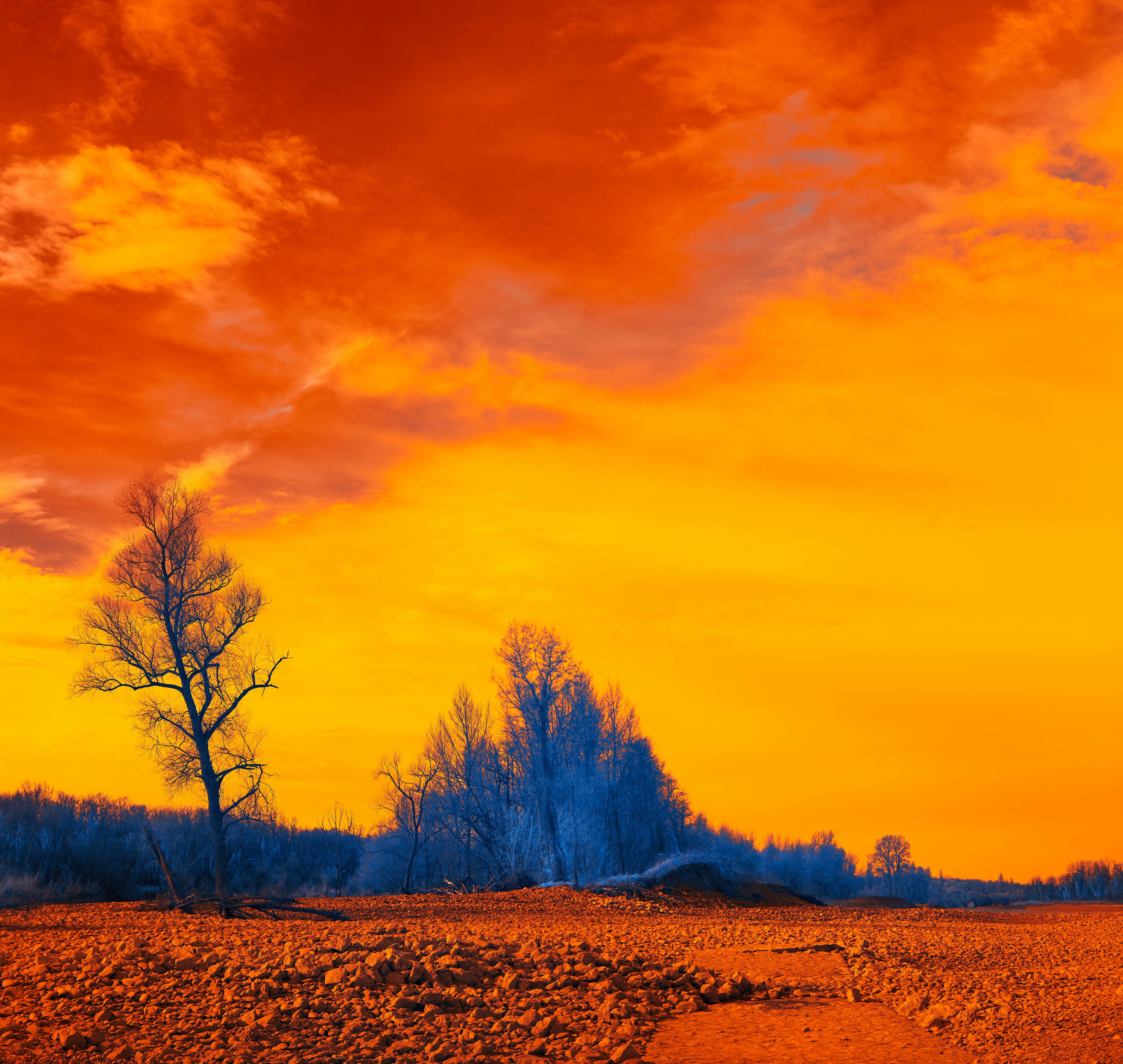 Photo by wolfgang_hasselmann