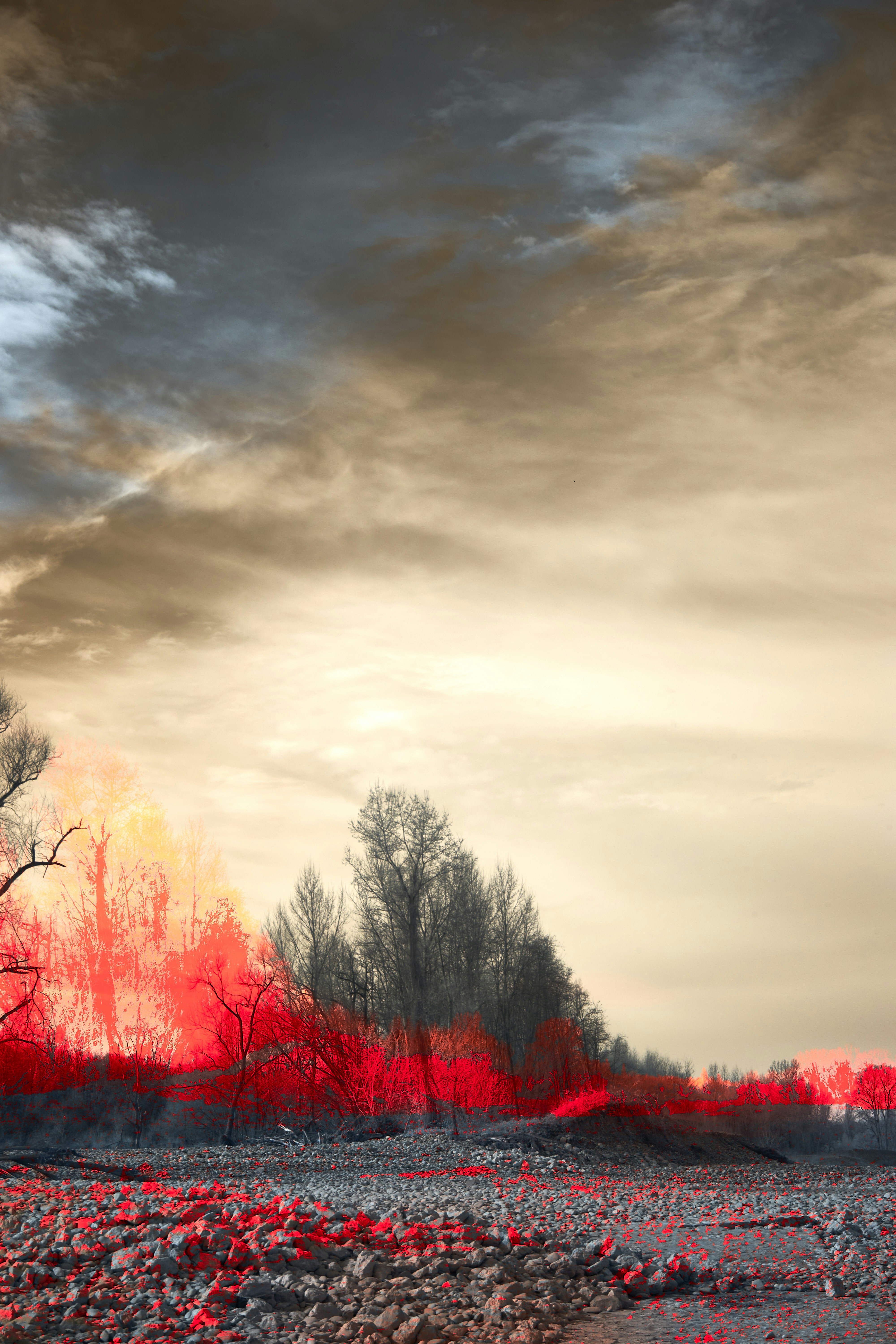 Photo by wolfgang_hasselmann