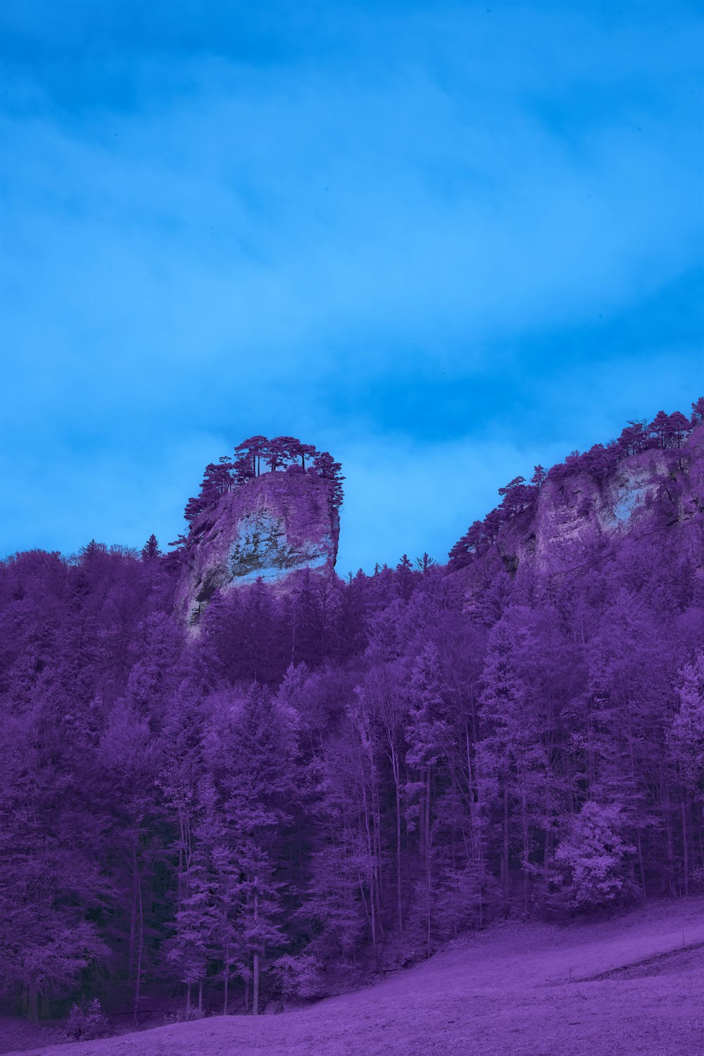 a purple landscape with a mountain in the background