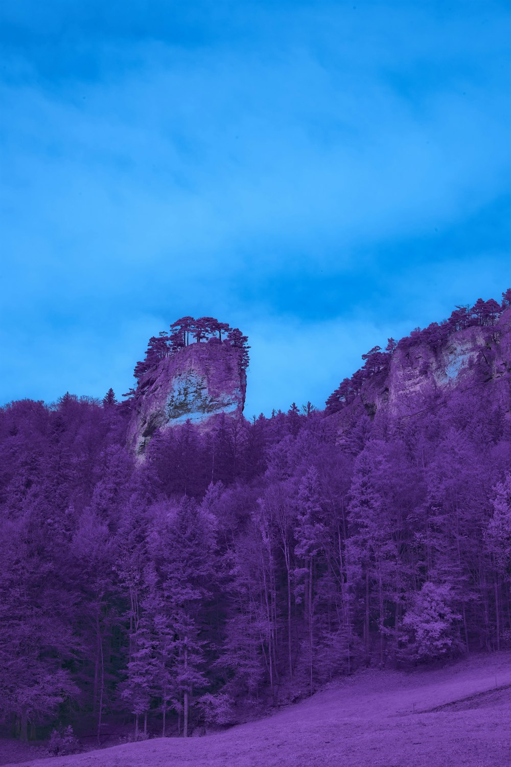 Eine lila Landschaft mit einem Berg im Hintergrund