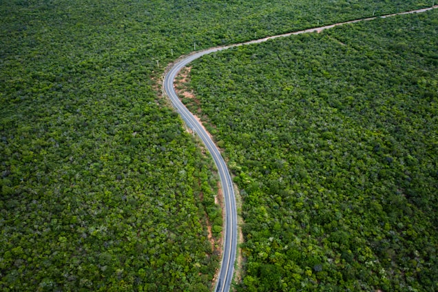 a winding road in the middle of a lush green forest