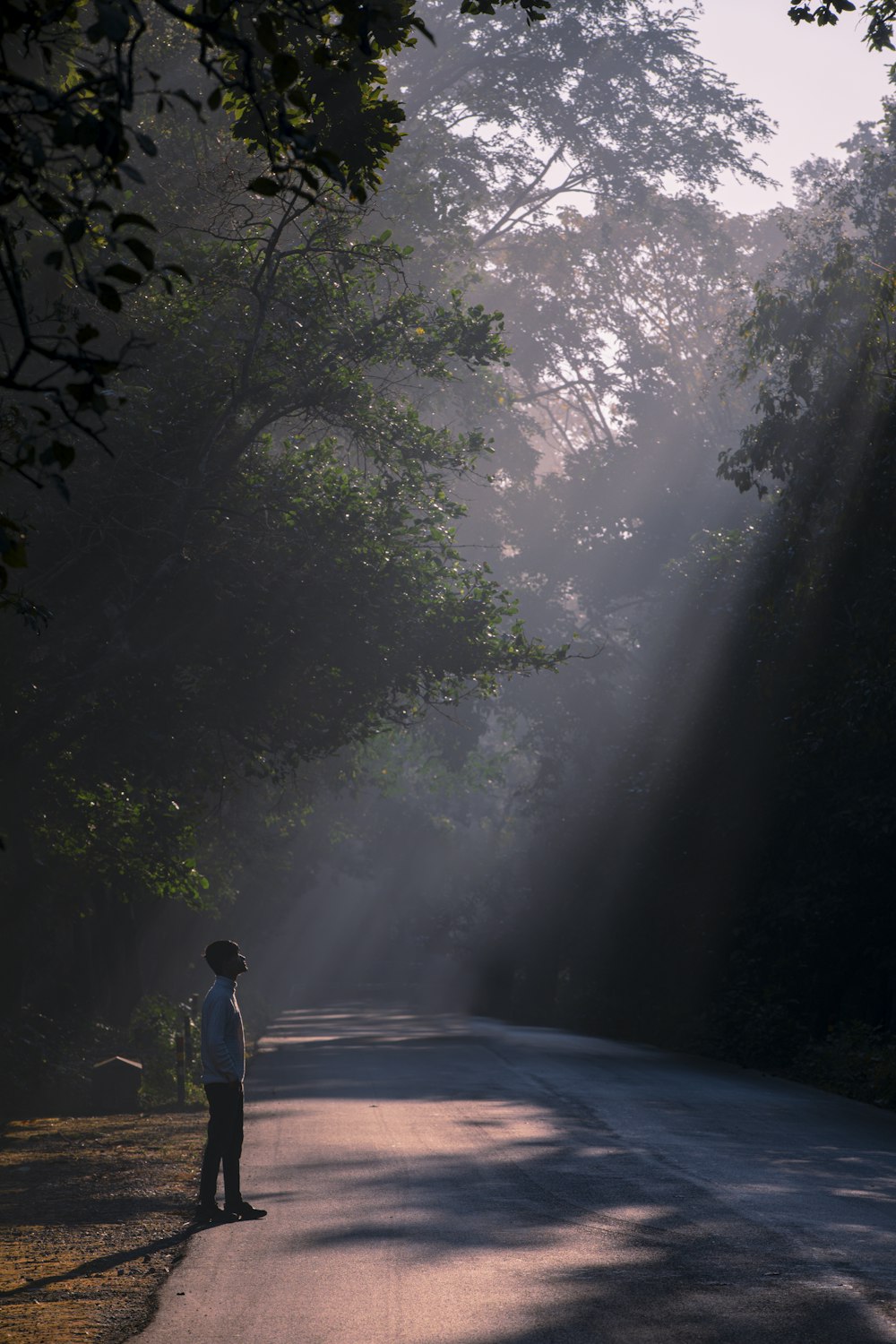 a man standing on the side of a road in the middle of a forest