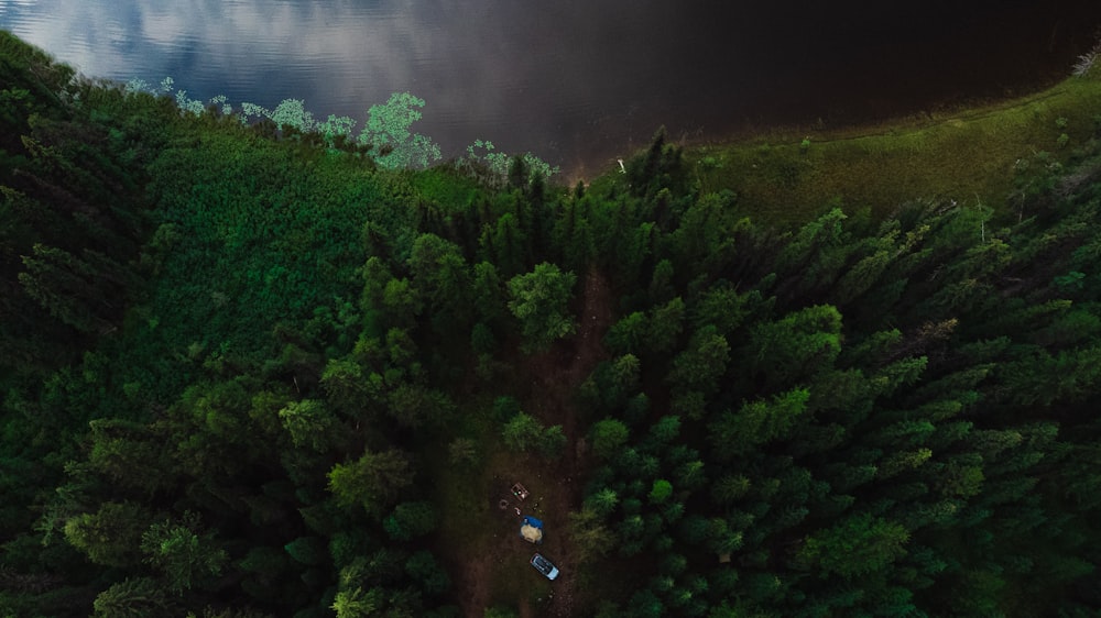 an aerial view of a forest with a lake in the background