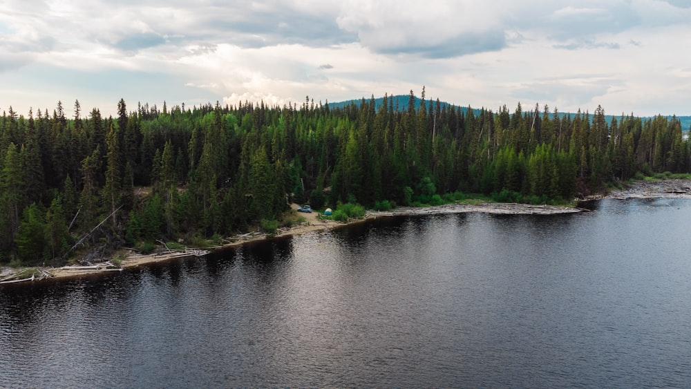 a large body of water surrounded by trees