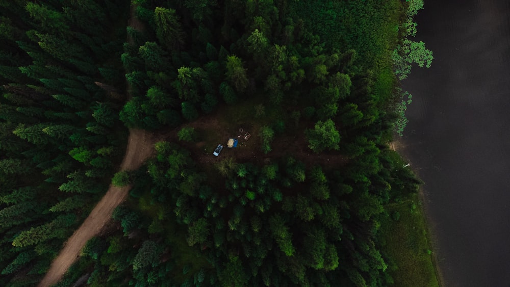 an aerial view of a group of people in a forest