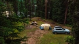 A peaceful campsite located in a dense forest has a yellow and blue tent set up on grassy ground alongside an SUV. A picnic table is nearby, with a person sitting at it, perhaps enjoying the natural surroundings. The area is surrounded by tall evergreen trees, and there's a fire pit made of stones.