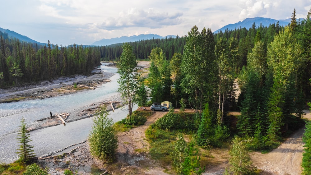 une rivière qui coule à travers une forêt remplie d’arbres