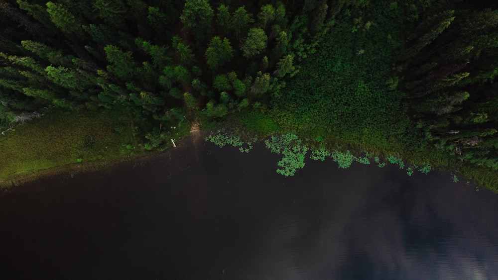 an aerial view of a lake surrounded by trees