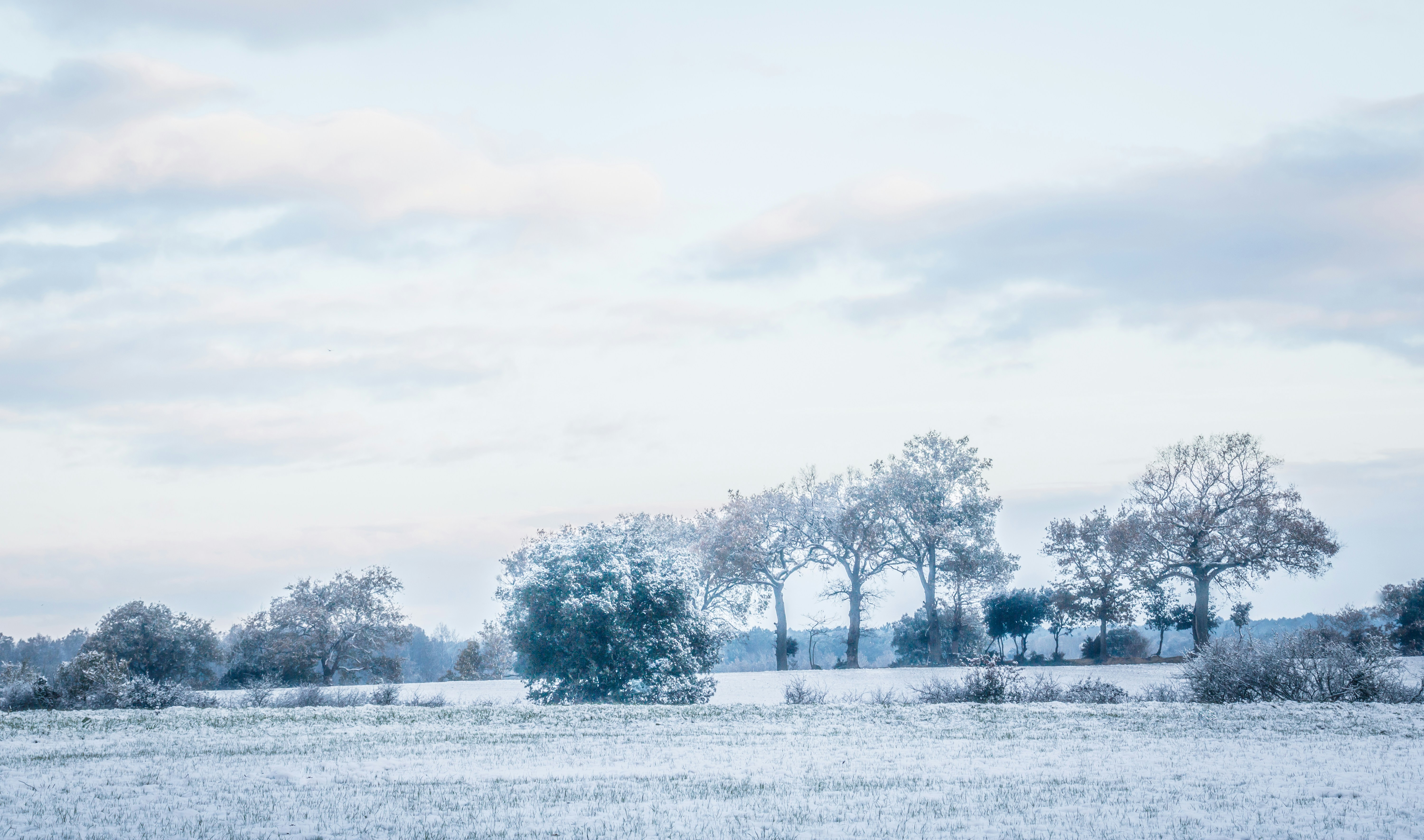 brandbury hall; part 4