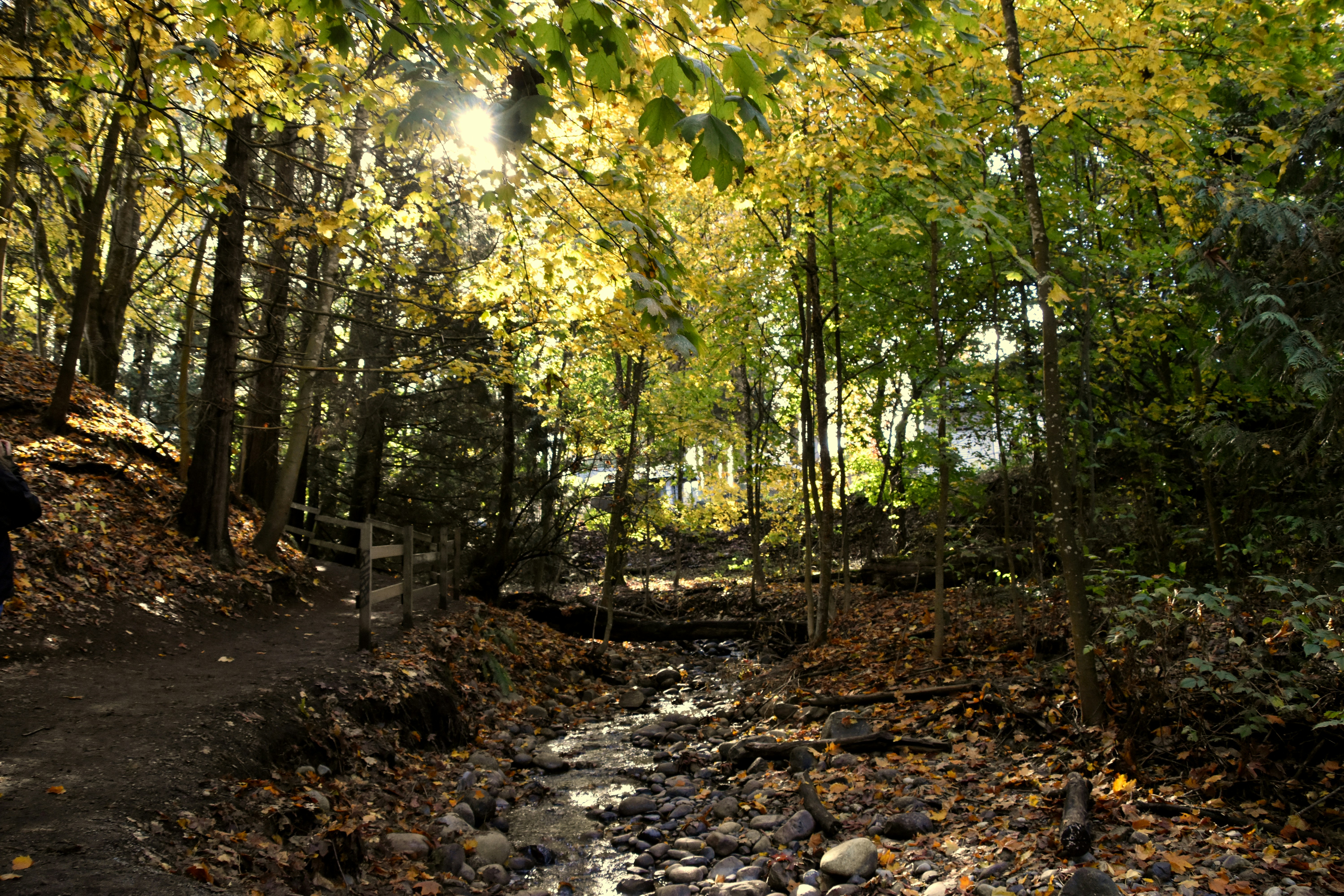 Photo by itsleiladehaan