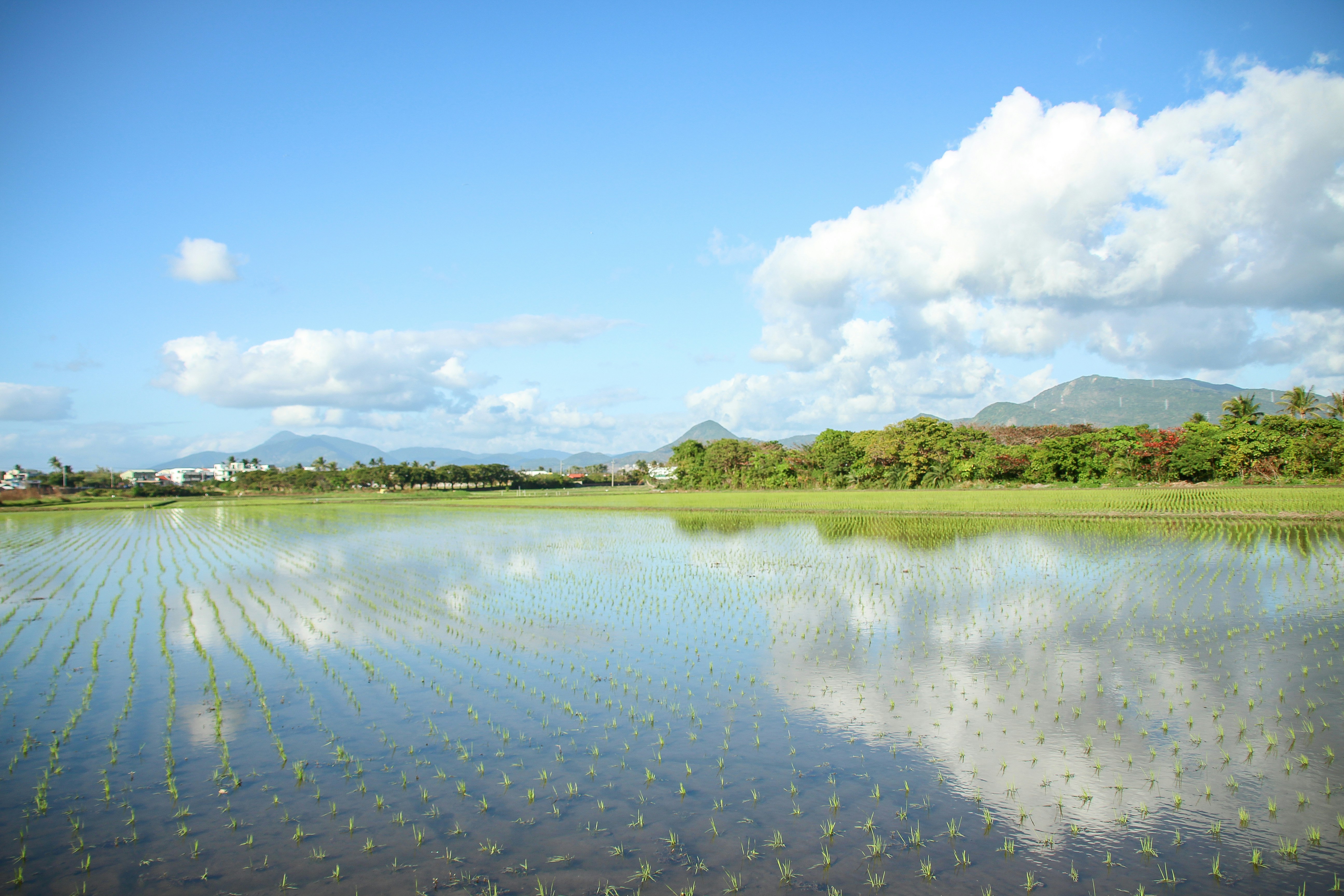 Photo by rickyrynselo