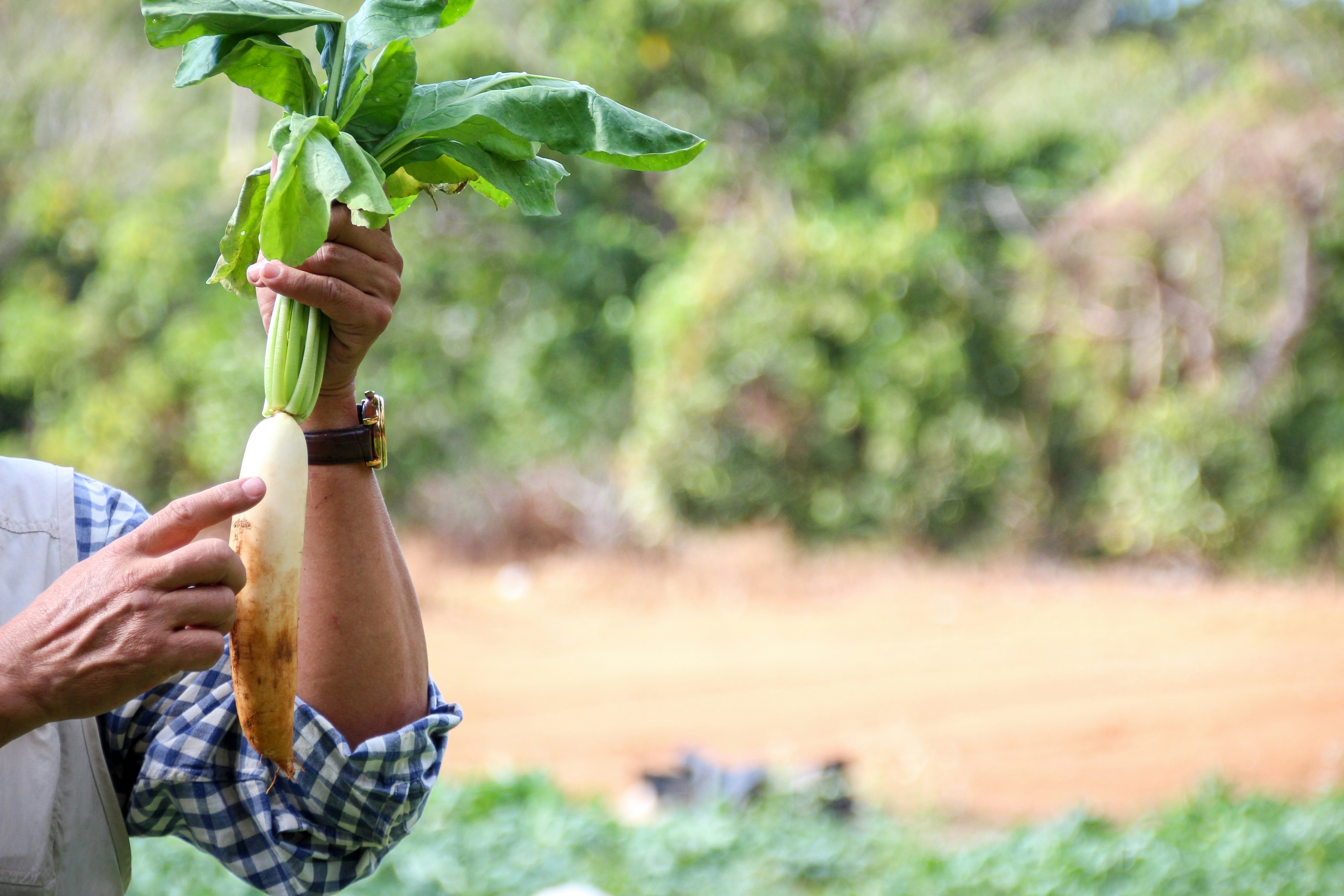 Photo by rickyrynselo