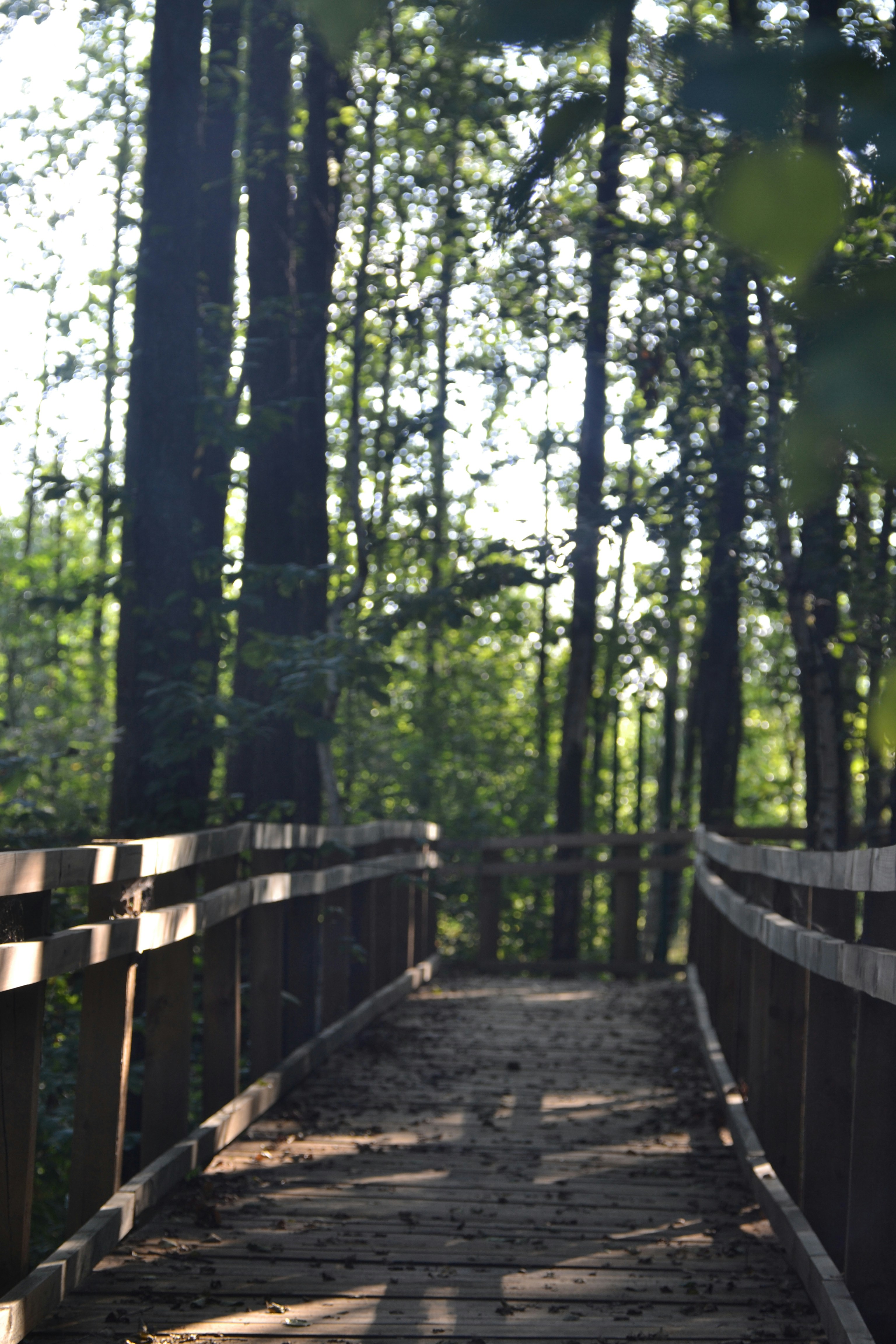 Photo by aurora_1111