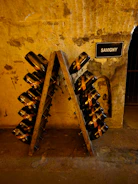 A consultant discussing financial charts with a wine cellar owner