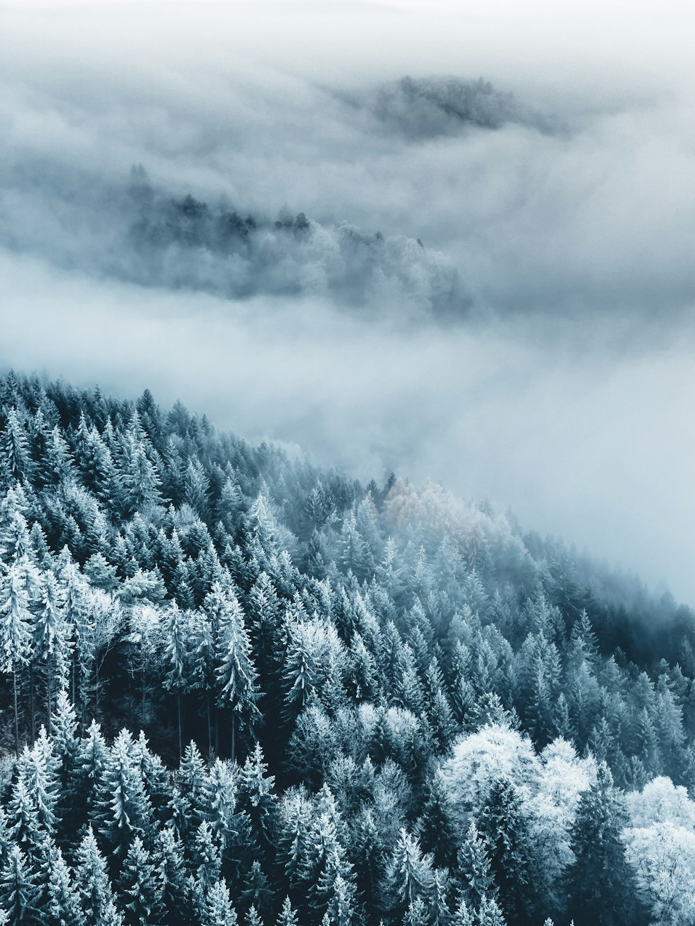 a mountain covered in fog with trees in the foreground