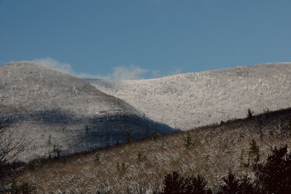 a snow covered mountain with trees on the side