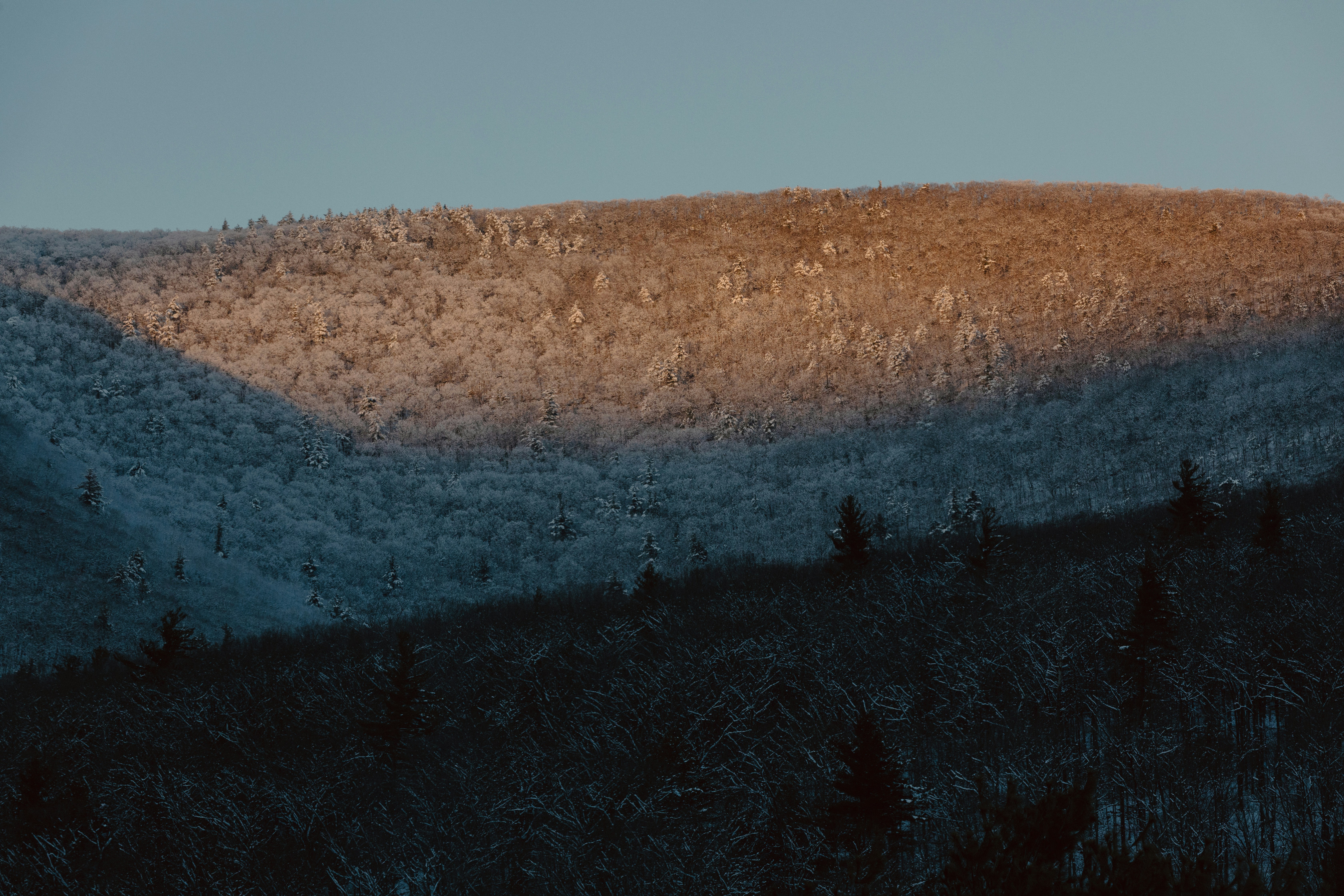 a mountain covered in snow with trees in the foreground