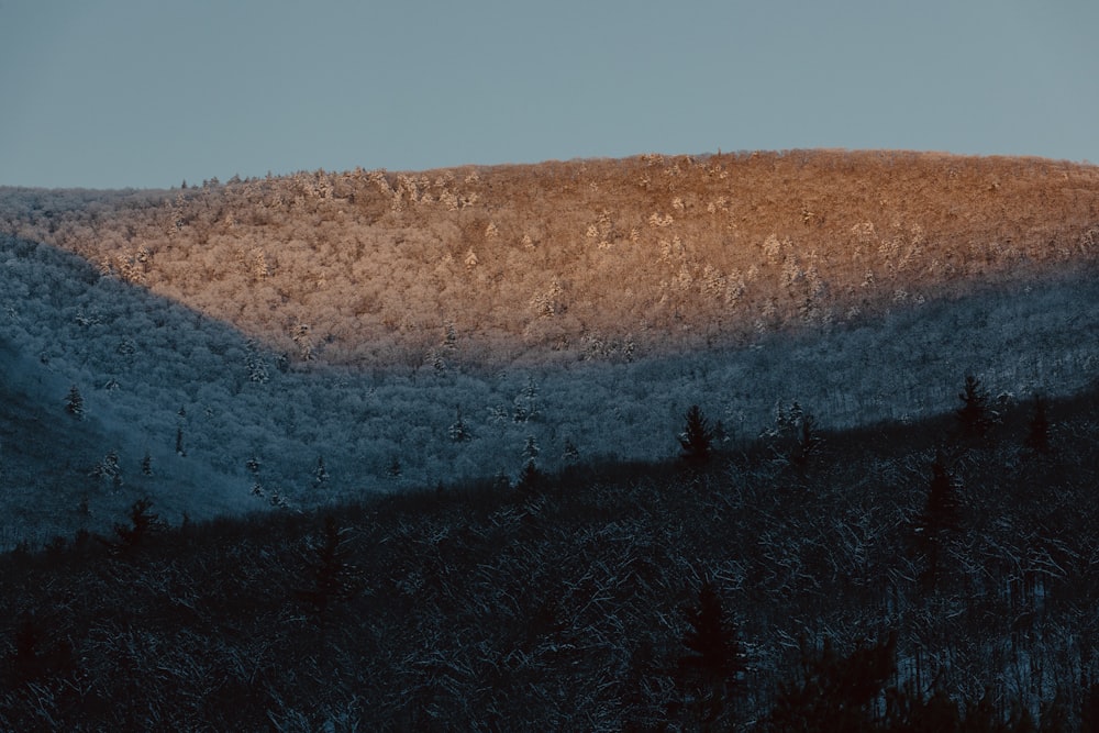 a mountain covered in snow with trees in the foreground