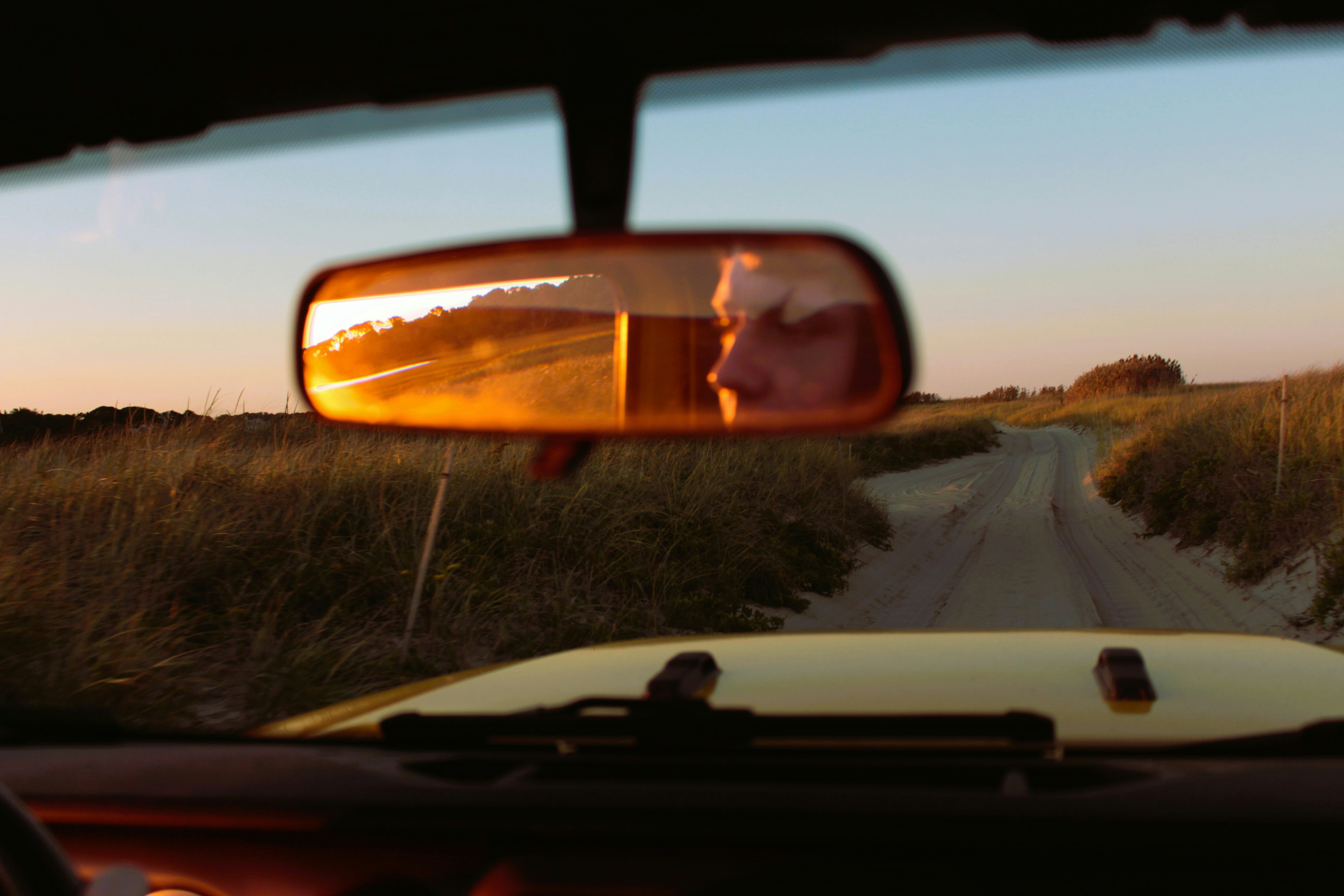 Photo by caroline_andrews