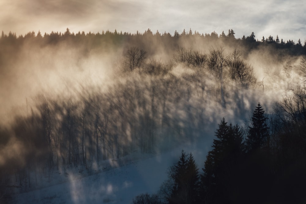 a mountain covered in fog and trees