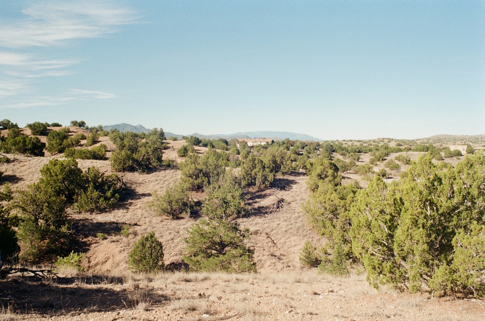 a view of a field with trees and mountains in the background