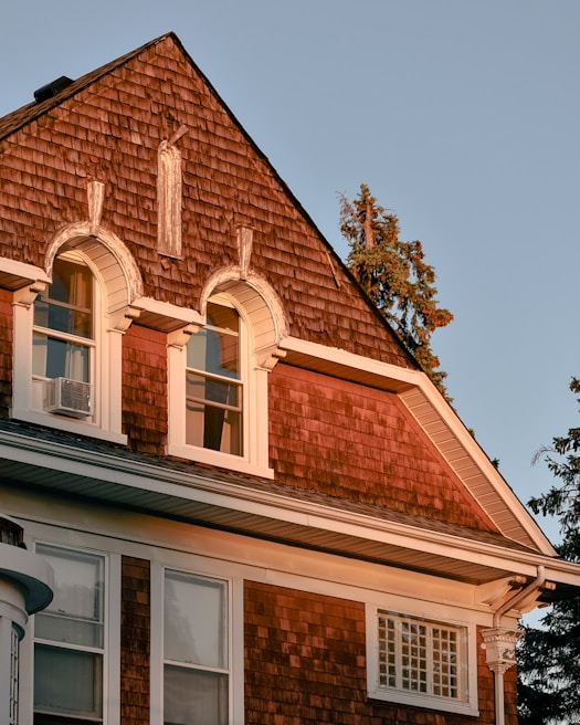 Freshly installed cedar siding glowing warmly in the afternoon sun