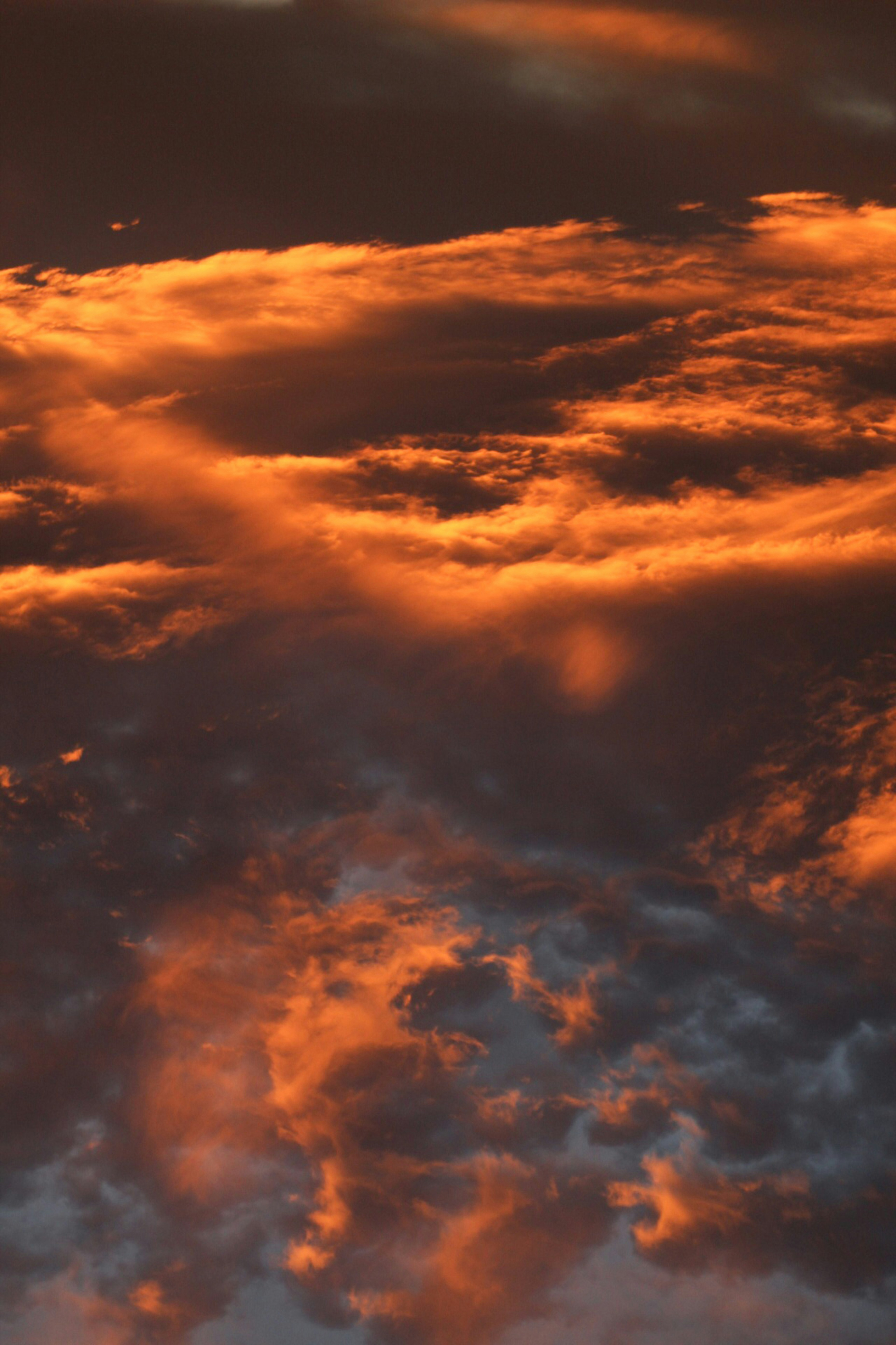 Photo by esrakorkmaz