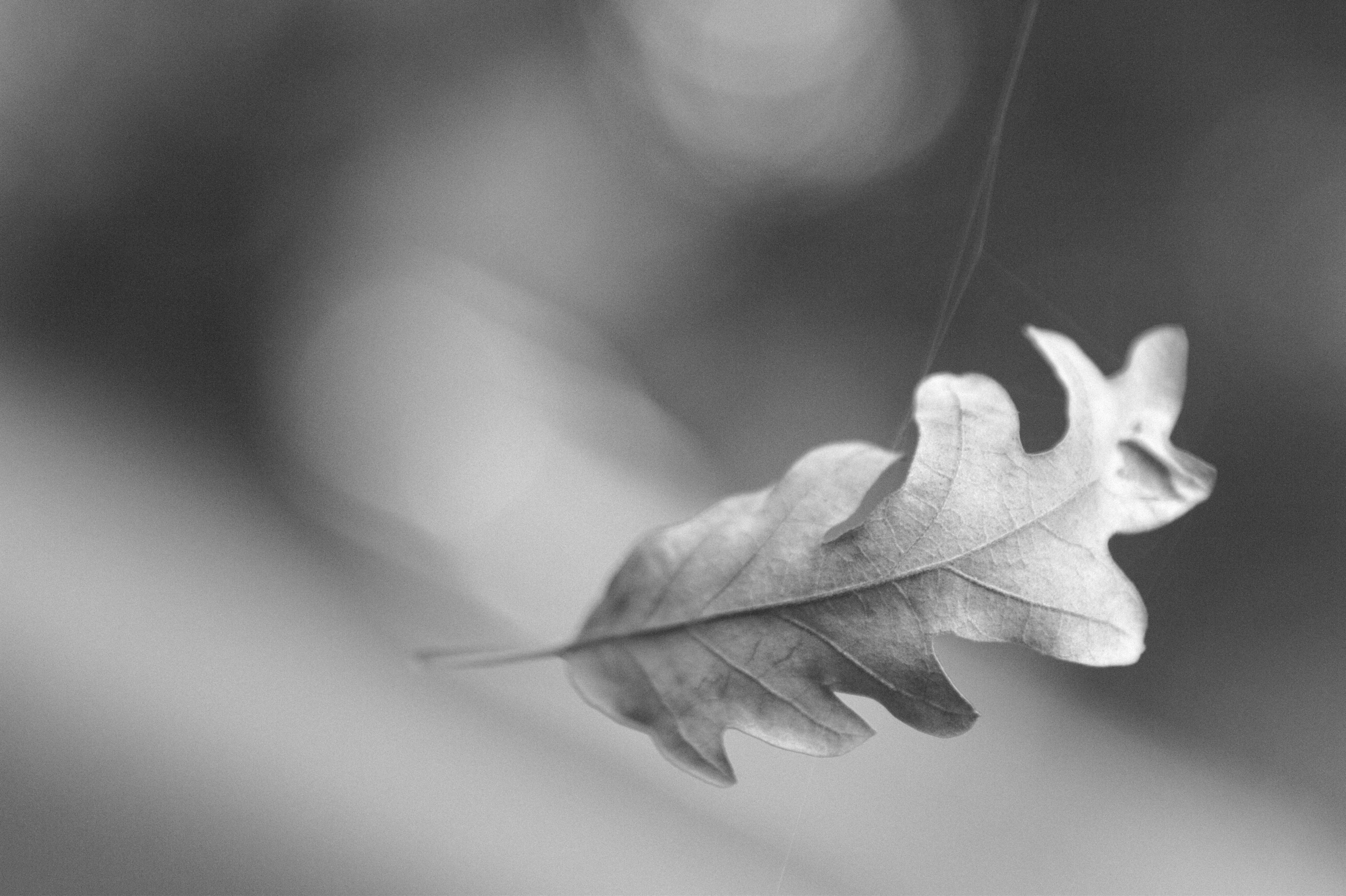 Photo by sketcher1084