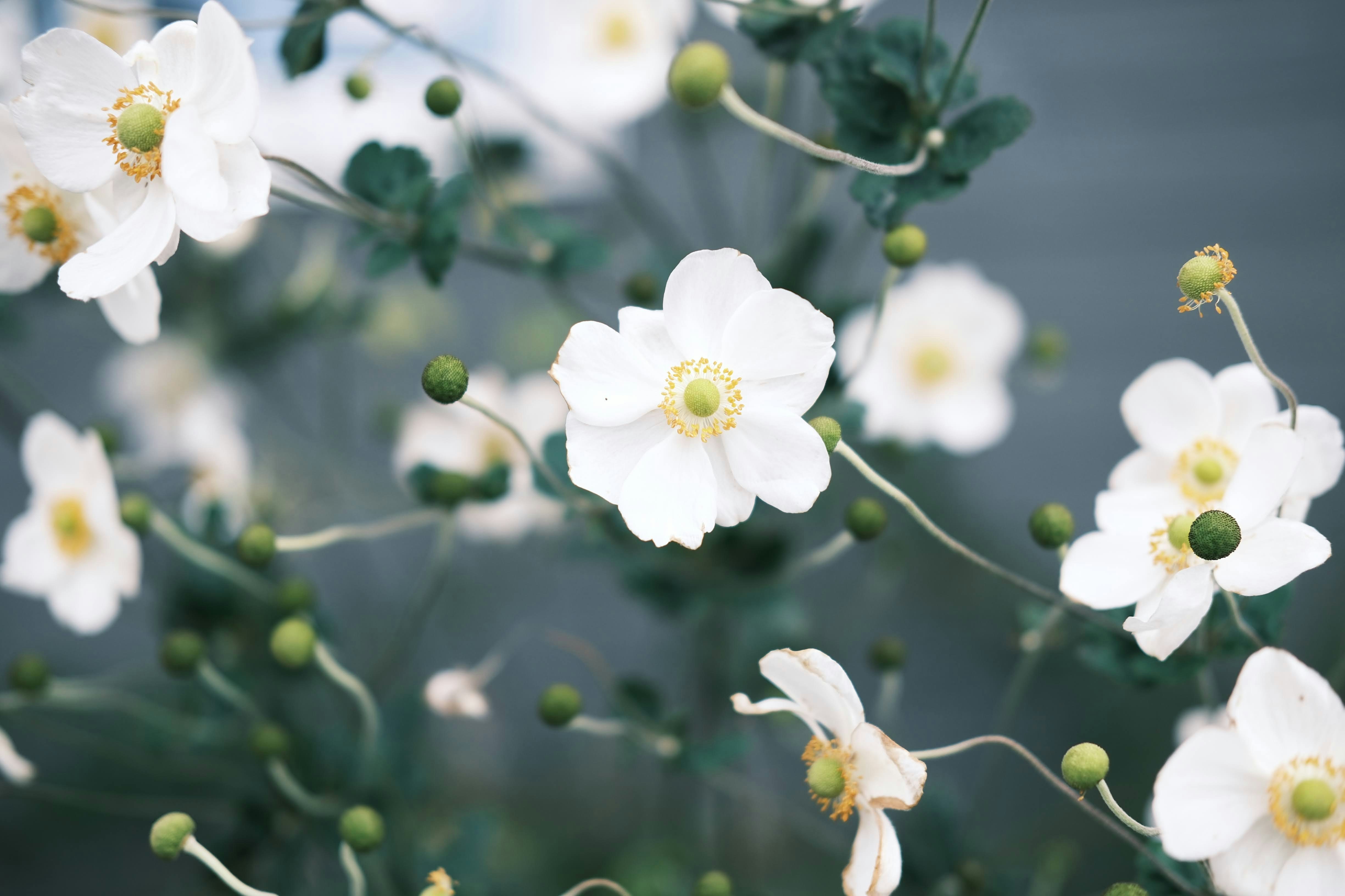 Photo by seiya_maeda