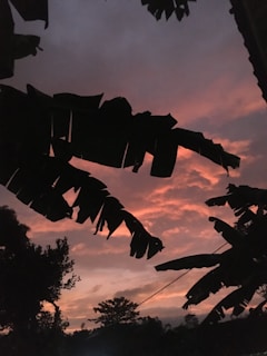 Sunset casting warm hues over the hills of Hadaba as seen from the apartment balcony