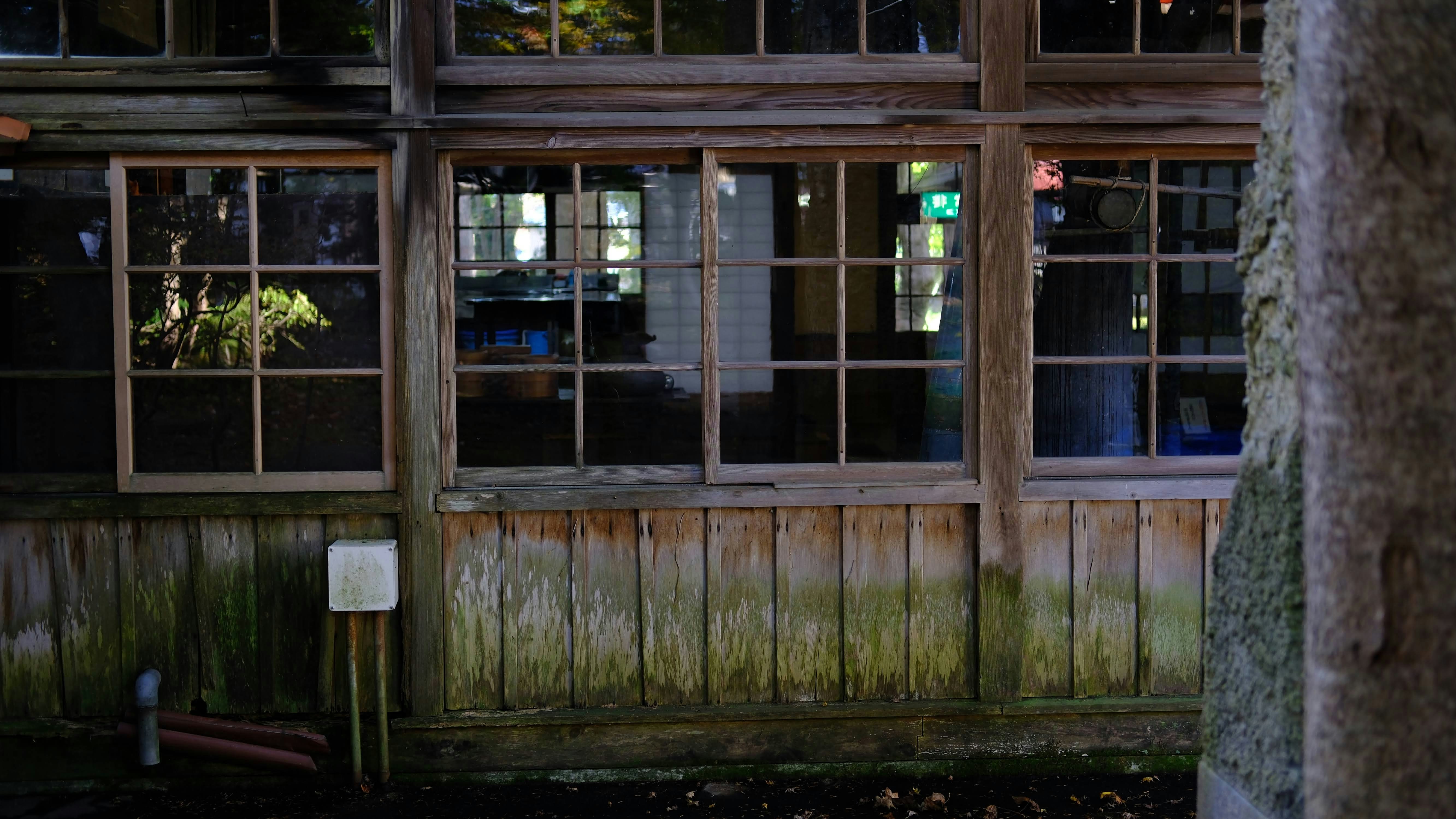 Photo by seiya_maeda