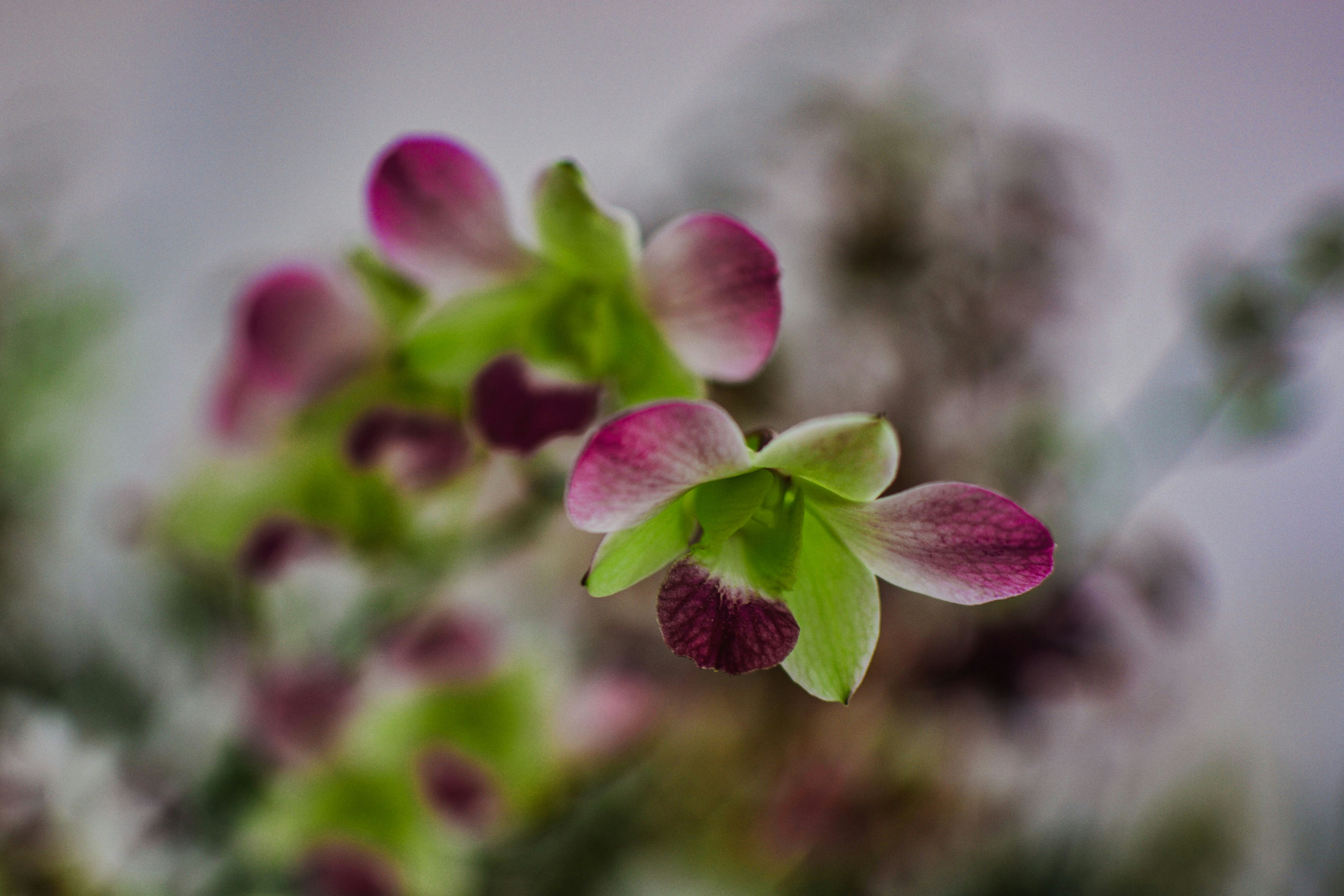 Photo by kiyoshi_jpg