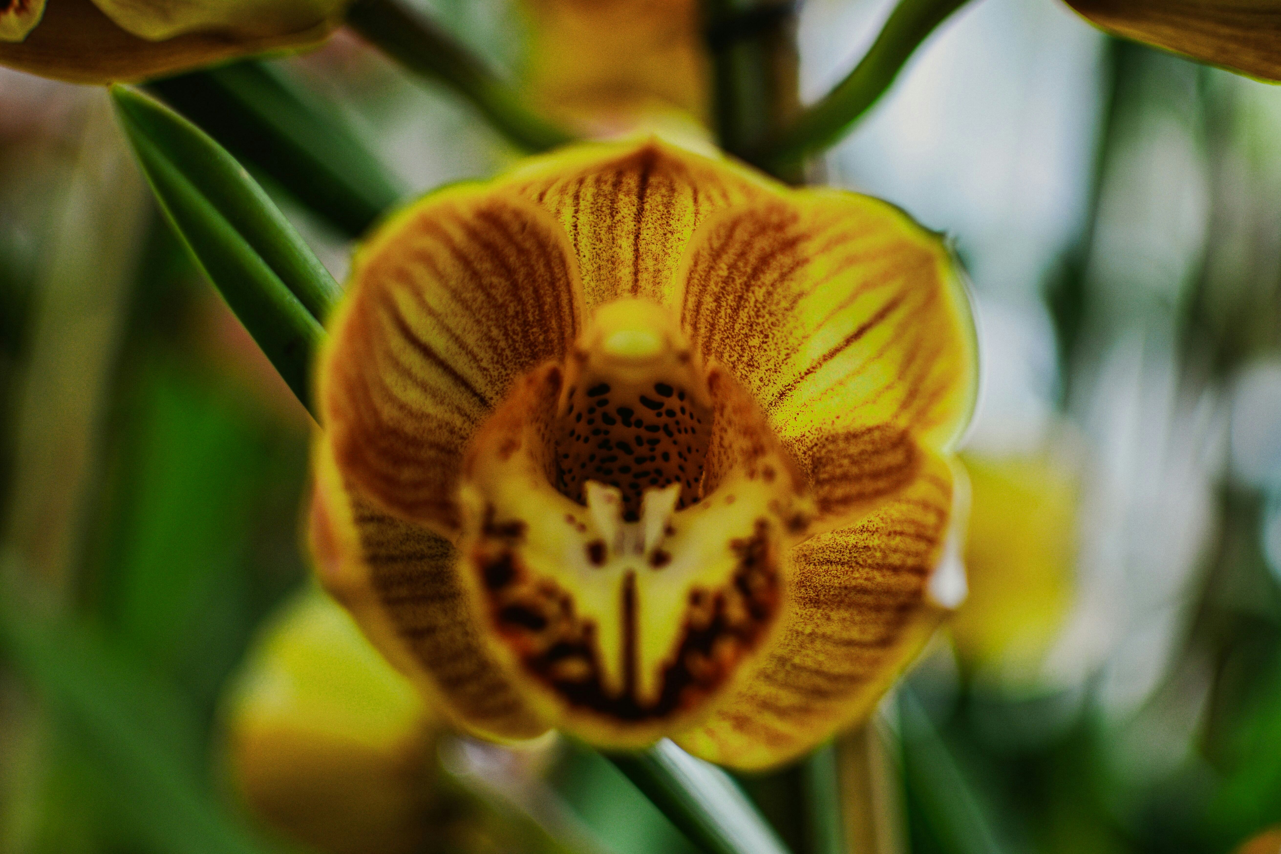 Photo by kiyoshi_jpg