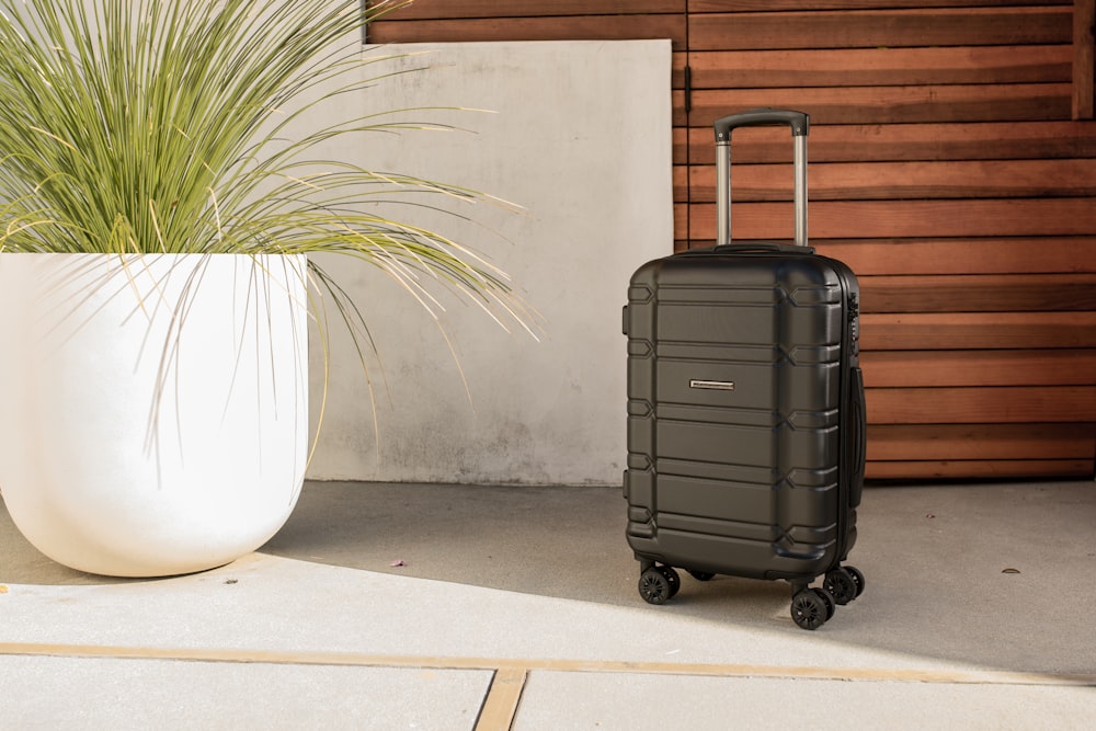 a black suitcase sitting next to a plant