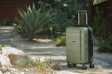 A green suitcase with four wheels is standing on a stone pathway in an outdoor setting. Surrounding the pathway are various plants and succulents, including large agave plants. The backdrop consists of a wooden structure and more greenery.