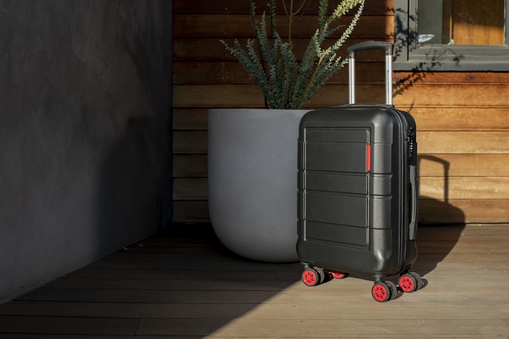 a black suitcase sitting next to a potted plant