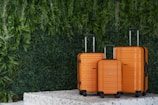 Three orange suitcases of varying sizes are neatly arranged on a textured platform. The background features lush, green foliage giving a natural and fresh vibe.