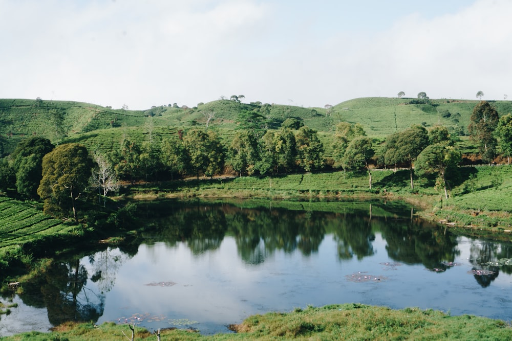 a lake surrounded by lush green hills and trees
