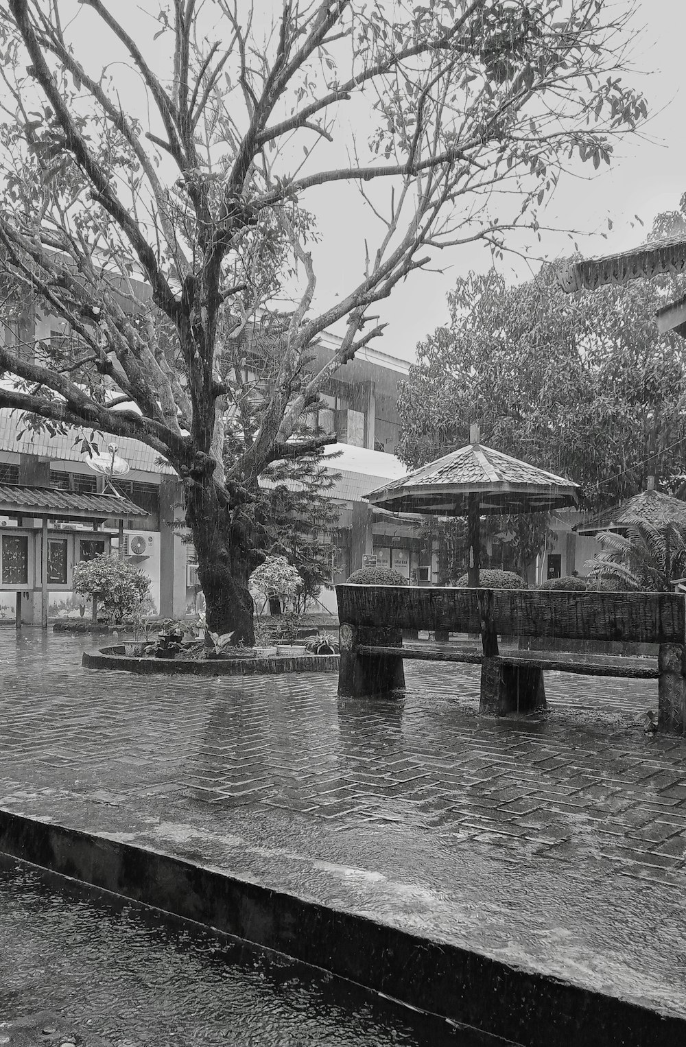 a black and white photo of a tree in a courtyard