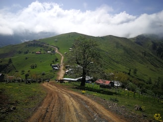 A scenic rural landscape featuring a dirt road winding through lush green hills with scattered trees and a few small houses. The road leads up to a remote settlement nestled within the hills. Fluffy clouds hover low in the sky, partially enveloping the distant mountains.