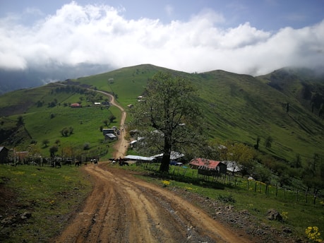 A scenic rural landscape featuring a dirt road winding through lush green hills with scattered trees and a few small houses. The road leads up to a remote settlement nestled within the hills. Fluffy clouds hover low in the sky, partially enveloping the distant mountains.