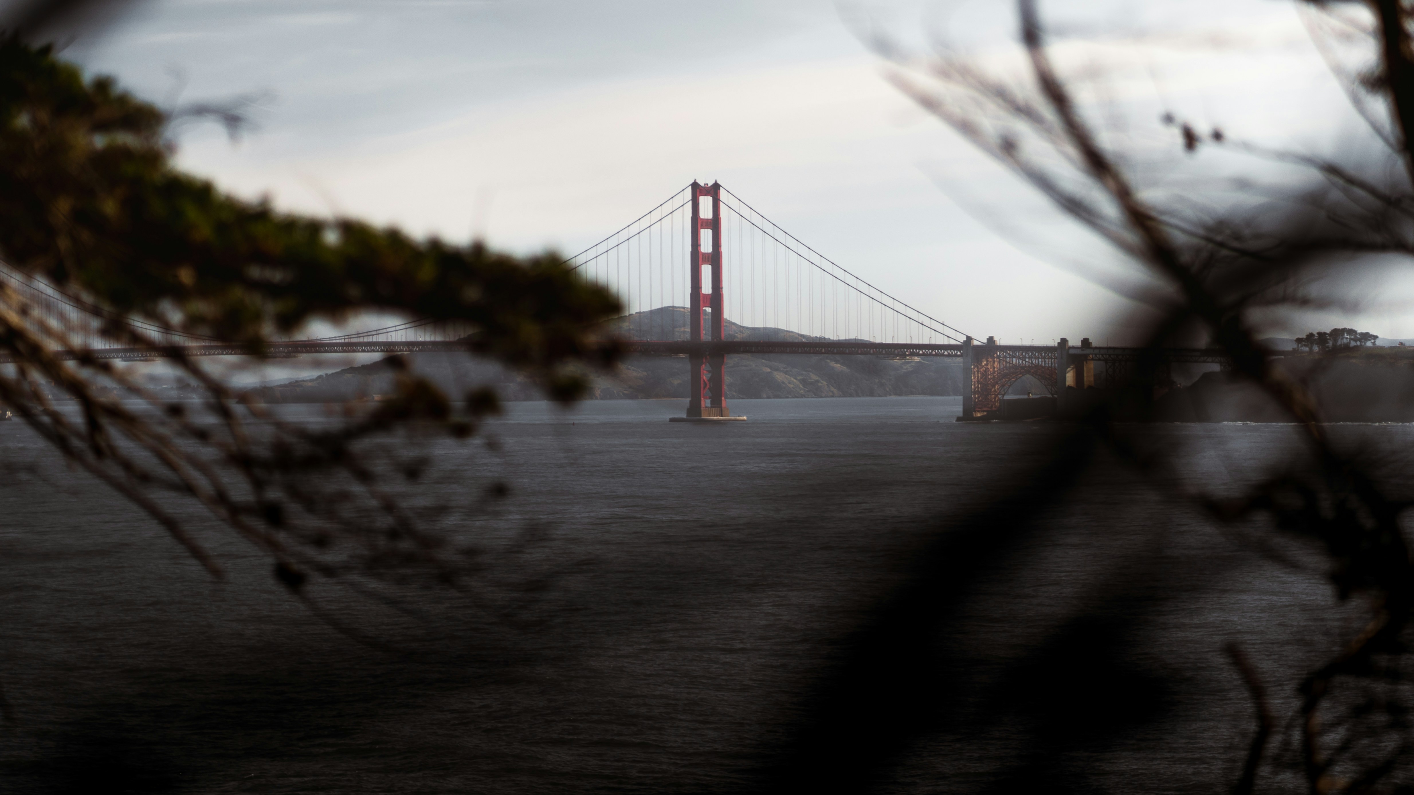 Photo by kalaniparker