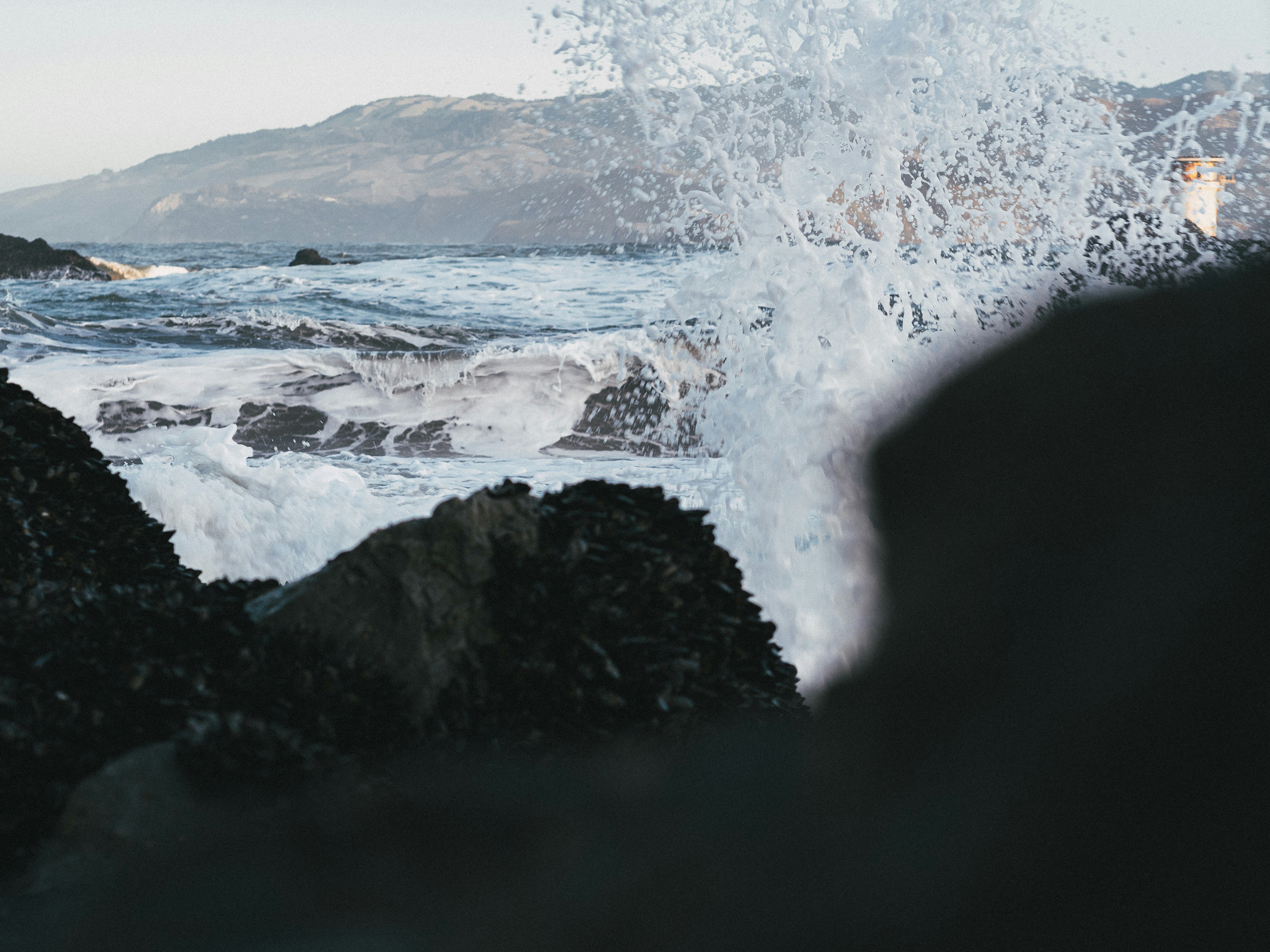 Photo by kalaniparker