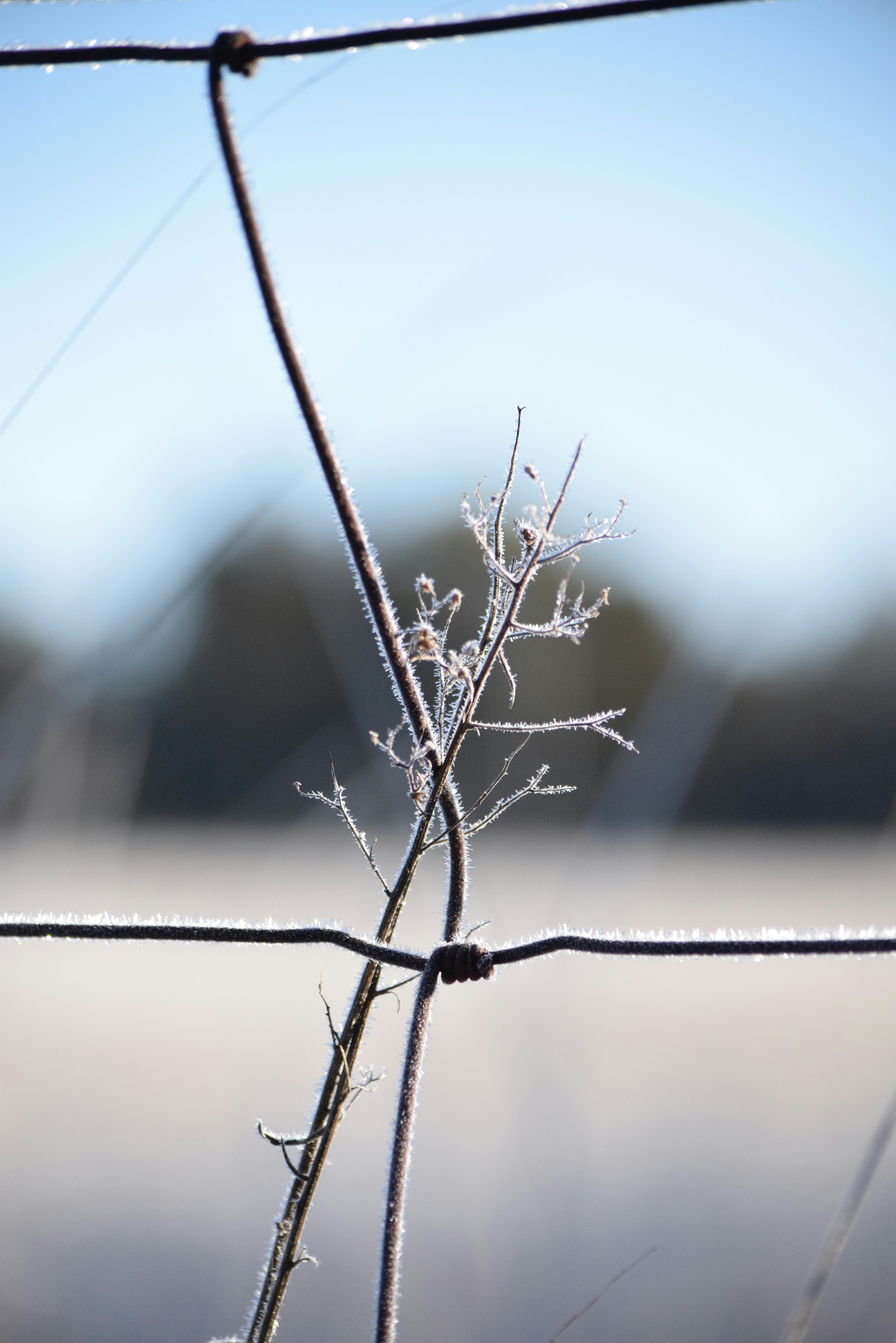 Photo by ch_photography