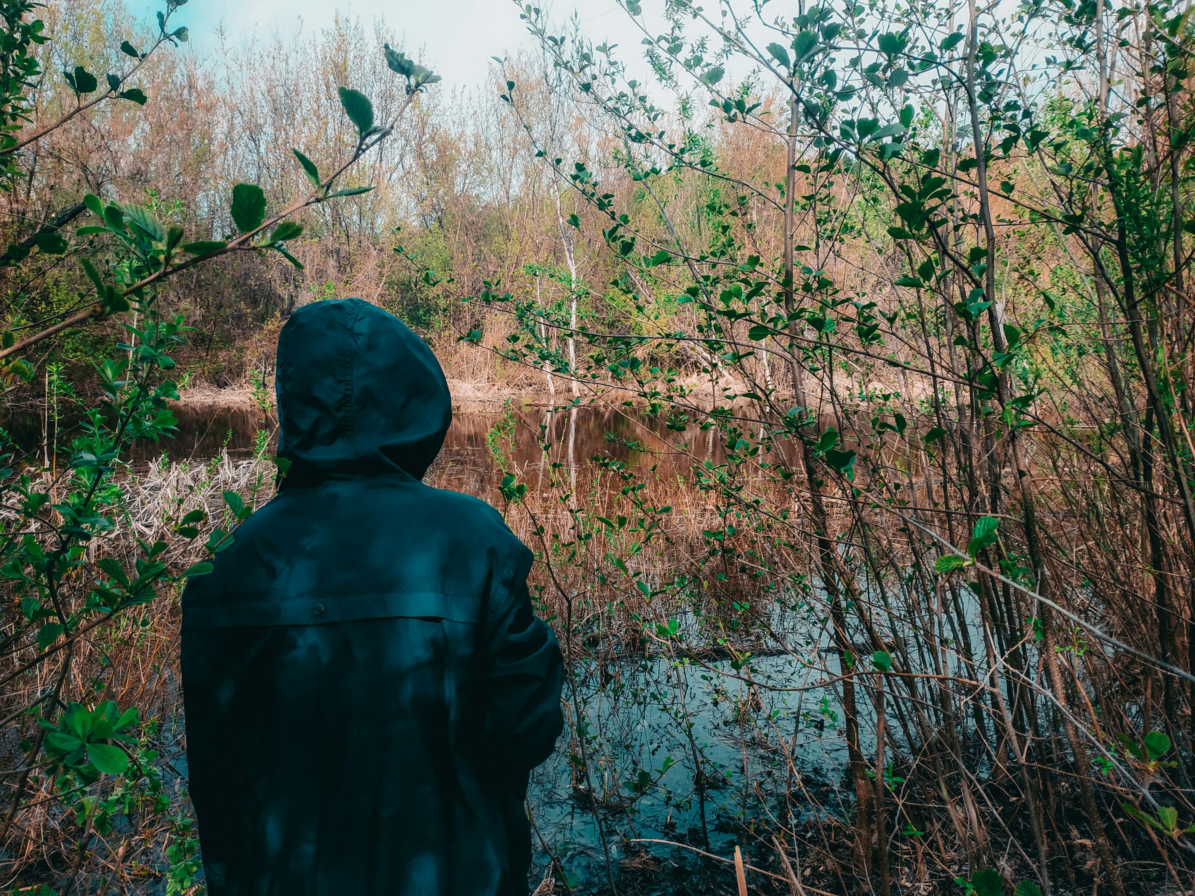 Photo by unsplash_makar