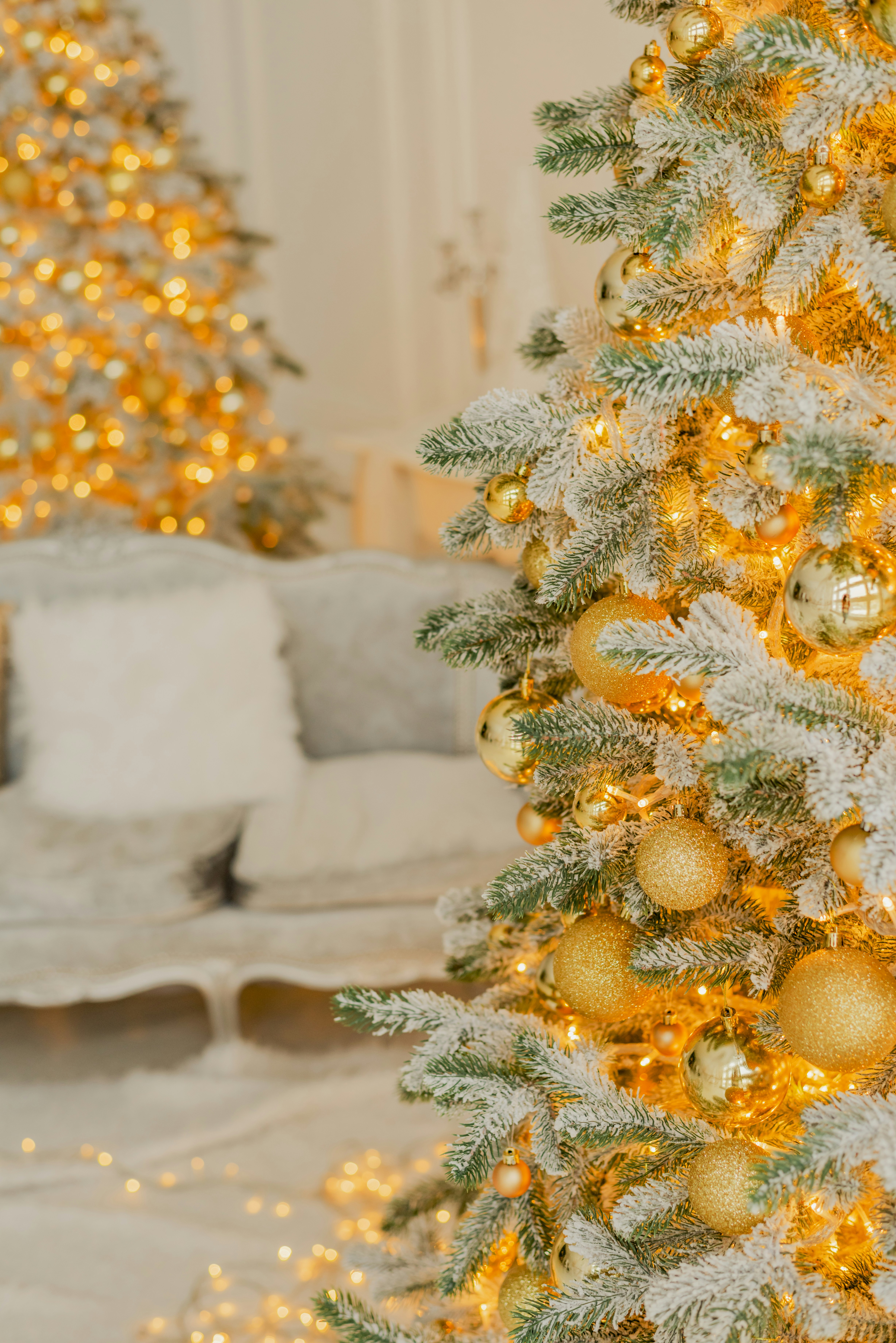 Photo by eugenivy_now