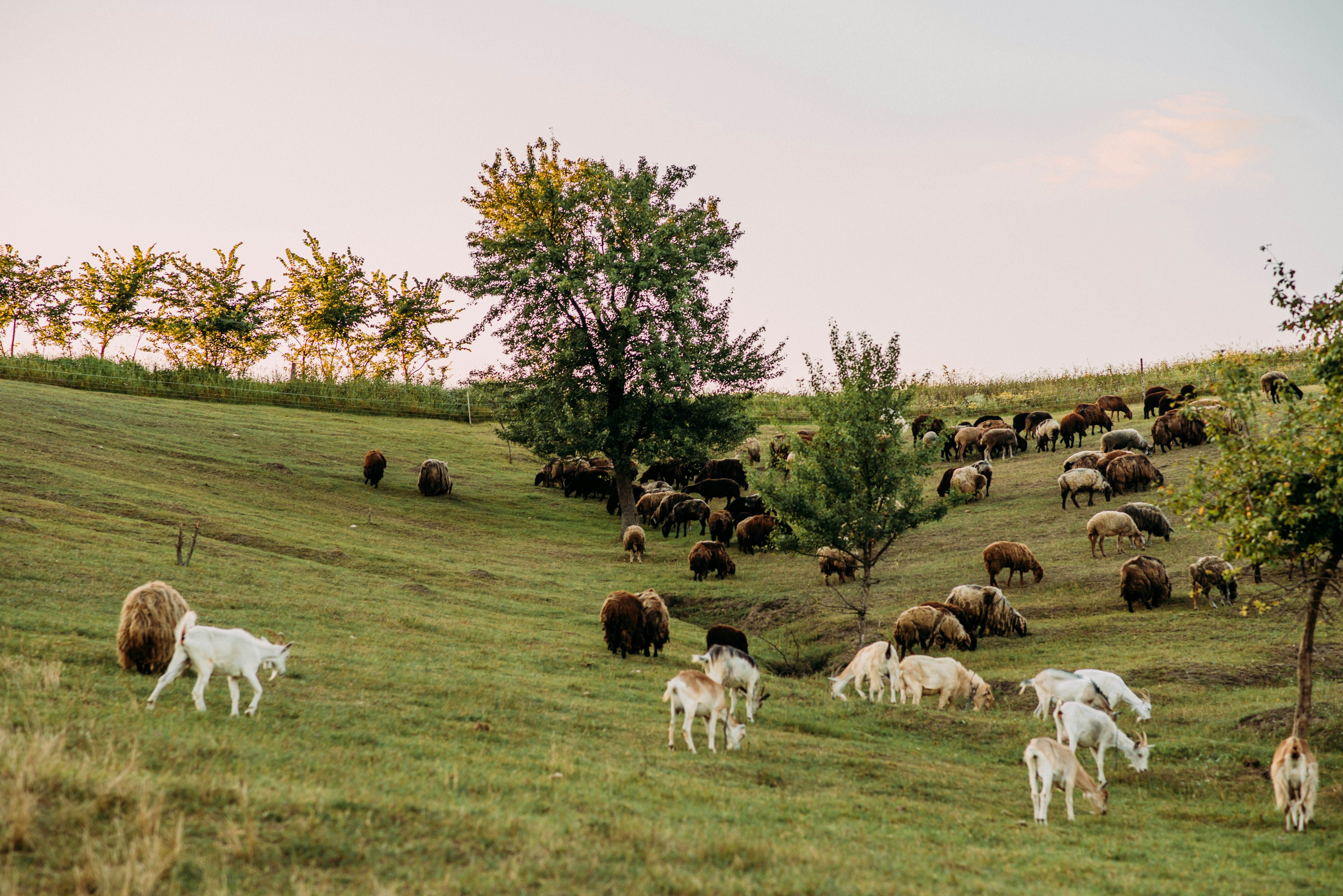 Photo by eugenivy_now