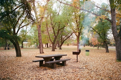 Residents enjoying a sunny afternoon in the BBQ area with modern grills and picnic tables surrounded by trees.