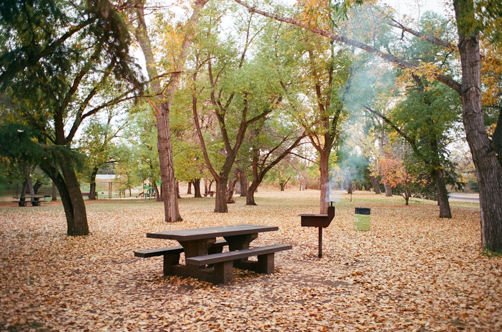 a picnic table in the middle of a leaf covered park